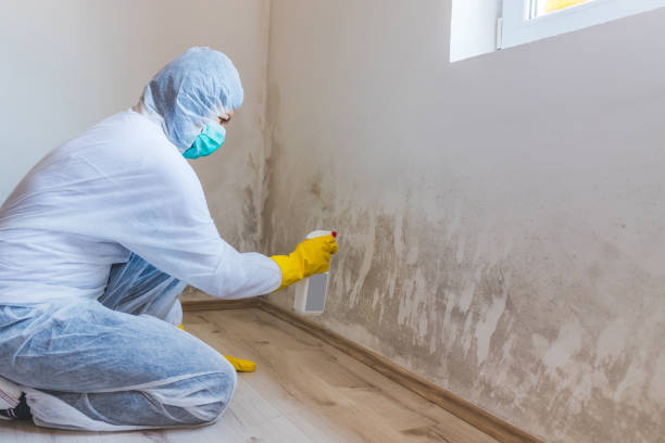 Hvac And Air Duct Mold Remediation inspection of HVAC system in Babylon
